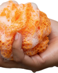African Exfoliating Net Sponge