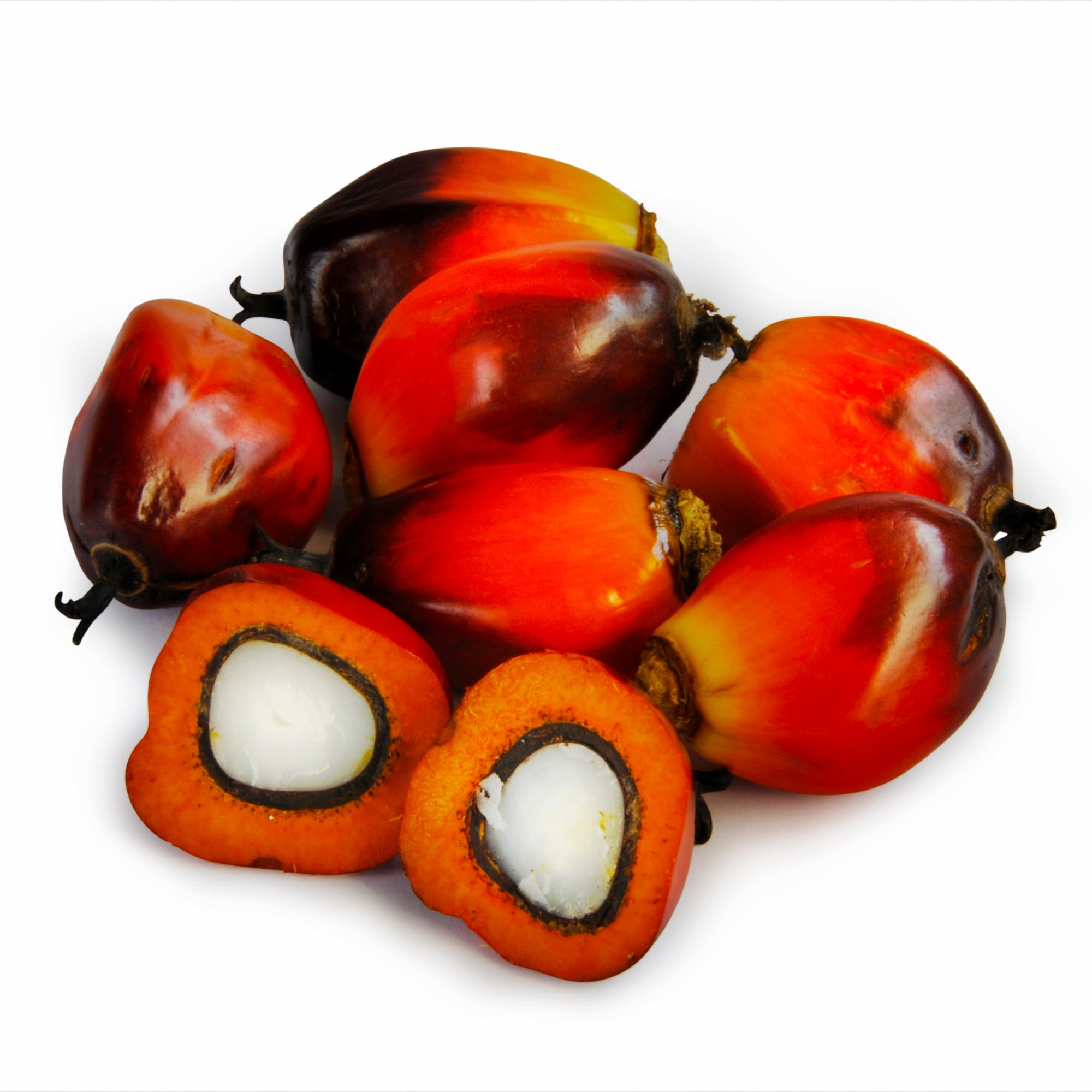BATANA OIL